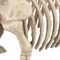 Pig Skeleton Farmyard Halloween Decoration for Spooky Party Displays